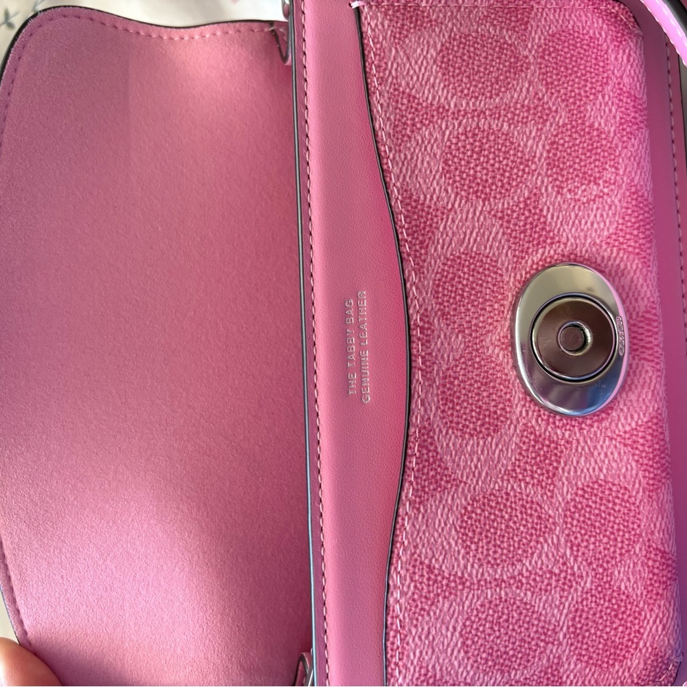 Pink Coach tabby 20 - Picture 3 of 4